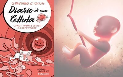 Diario di una cellula