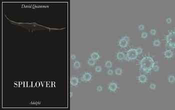Spillover