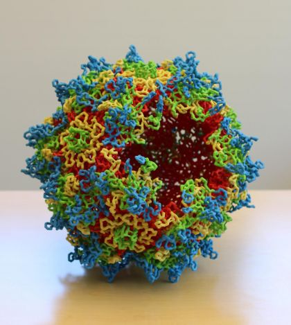 Modello 3-D della struttura del capside dell’AAV (adeno-associated virus)