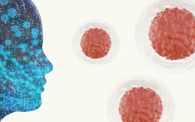 AI, cellule staminali, informazioni, internet
