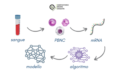 Intelligenza Artificiale per Sclerosi Multipla