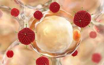 AlloVir