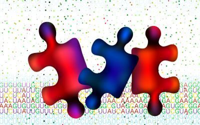 rna, editing
