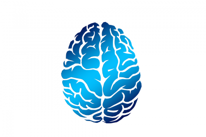 Il primo mini-cervello umano creato in laboratorio
