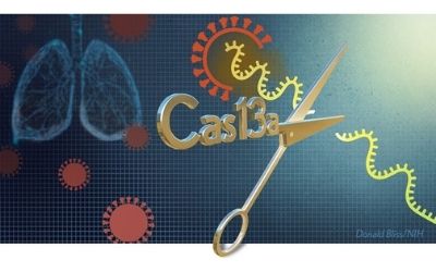 Cas13