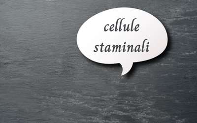 Parlare di cellule staminali