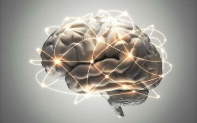 cervello, human brain project