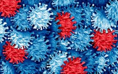 Coronavirus