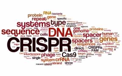 CRISPR