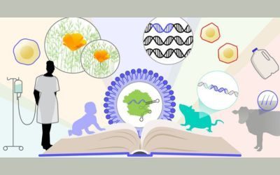 crispr, etica, editing genomico