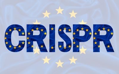 CRISPR, approvazione, europa