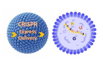 CRISPR