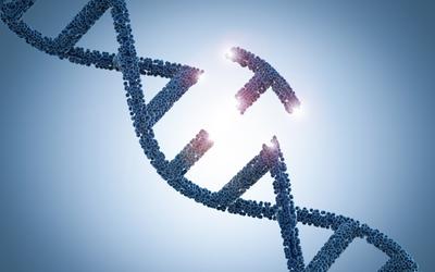 CRISPR