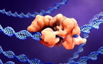 CRISPR 