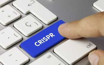 CRISPR