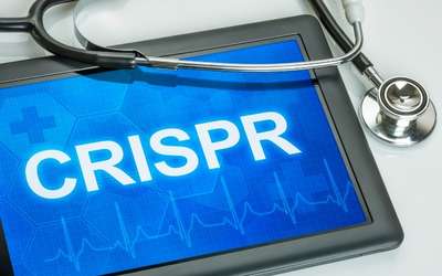CRISPR
