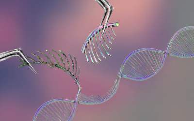 CRISPR per la PKU