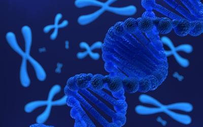 DNA