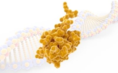 DNA e proteina