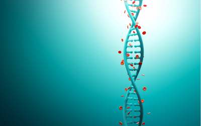DNA