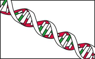 DNA