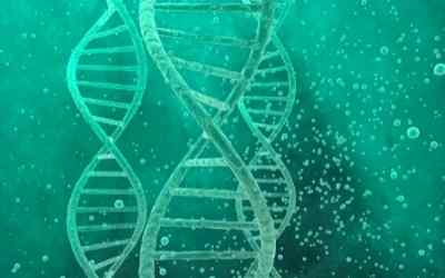 DNA