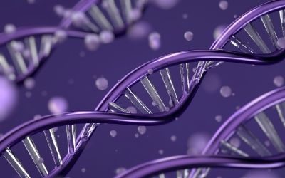 DNA