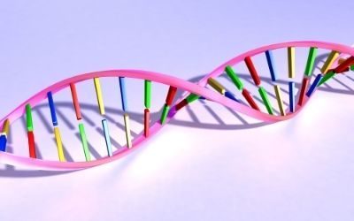 DNA