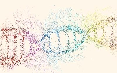 DNA