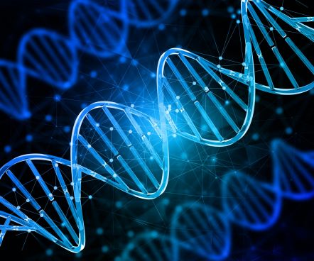 dna