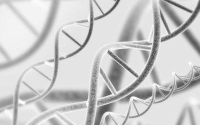 car.t, epigenetica, crispr