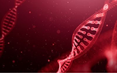 terapia genica, emofilia B, stati uniti