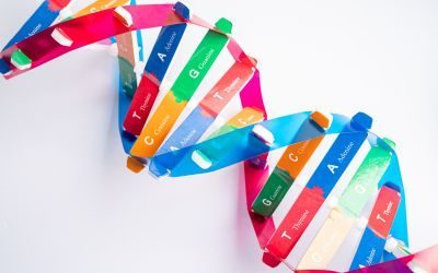 editing genomico, prime editing, crispr