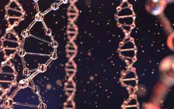 DNA