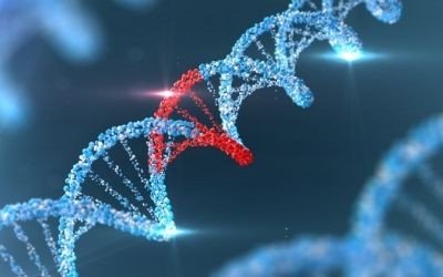 DNA