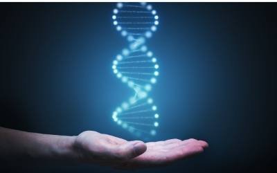 DNA