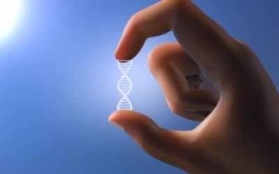 DNA