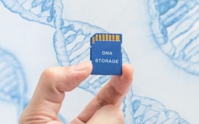 DNA storage