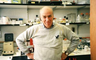 Donald D. Brown