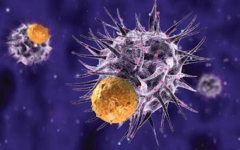 Immunoterapia
