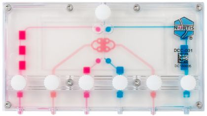 Kidney-on-a-Chip