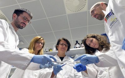 Team prof.ssa Cereseto