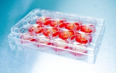 laboratorio