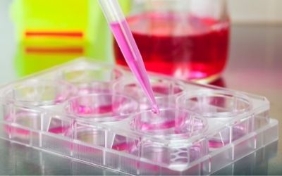 laboratorio