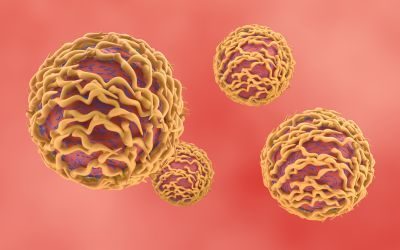 linfociti t, immunoterapia, tumori