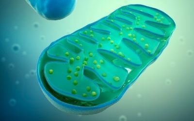 RNA therapies, acidemia propionica, mRNA