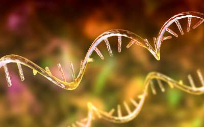 RNA messaggero e applicazioni
