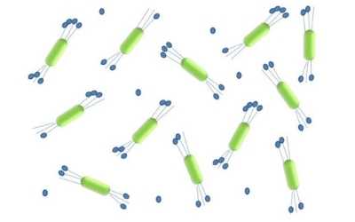 Nanocristalli di cellulosa
