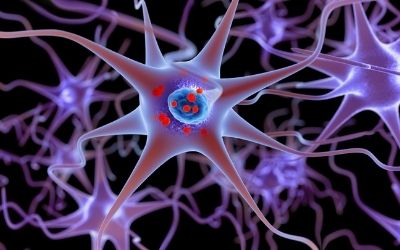 Neurone