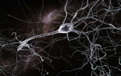 Neurone